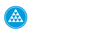 Porto Vale Seguros Logo